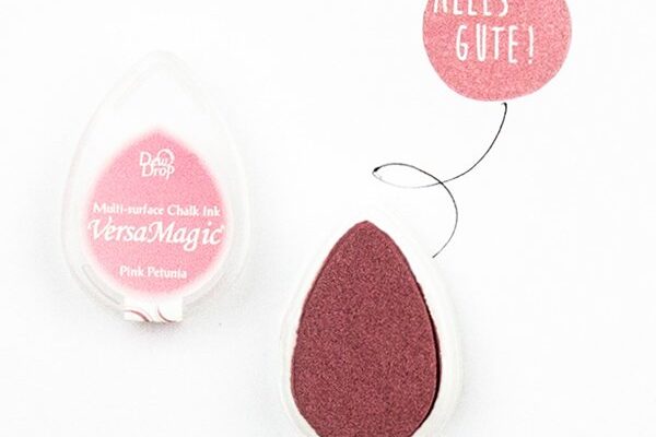 Versa magic pink petunia  Erdbeerpunkt Online Shop Schweiz