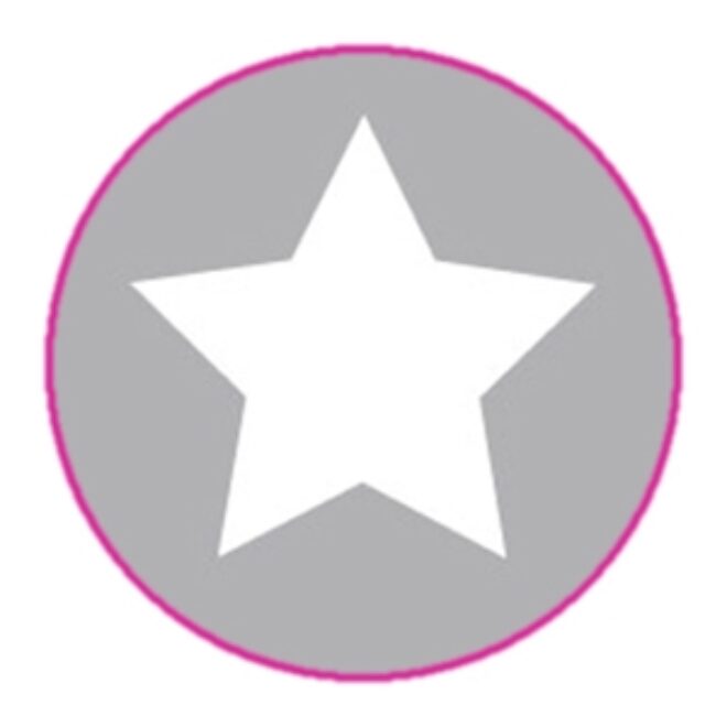 0000801 aufkleber stern silber Erdbeerpunkt Online Shop Schweiz
