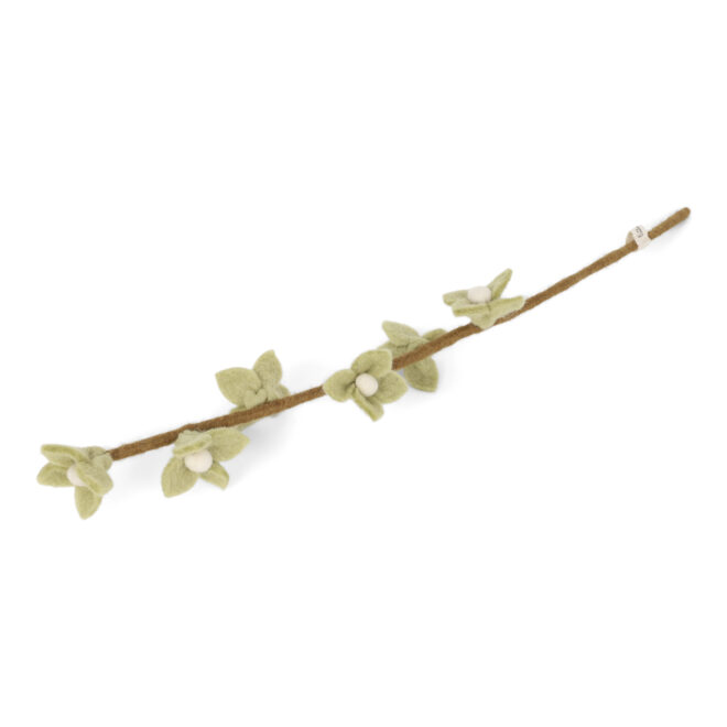 10334 Erdbeerpunkt Online Shop Schweiz
