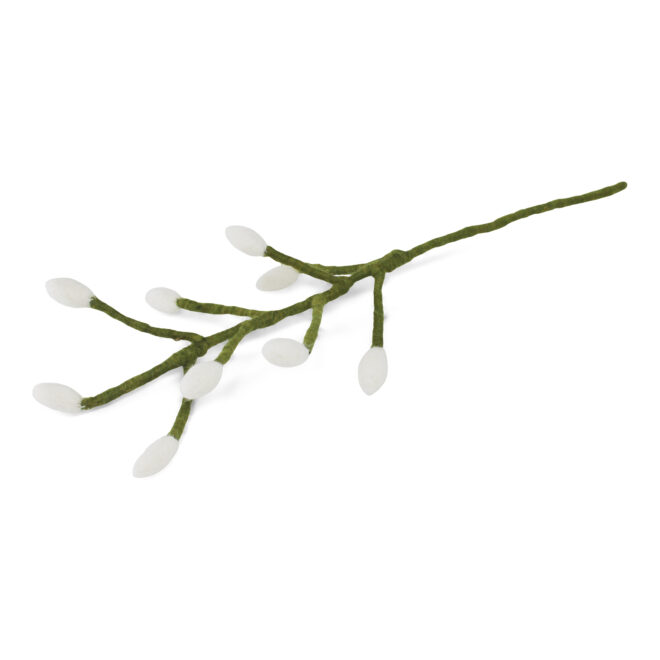 10423 Erdbeerpunkt Online Shop Schweiz