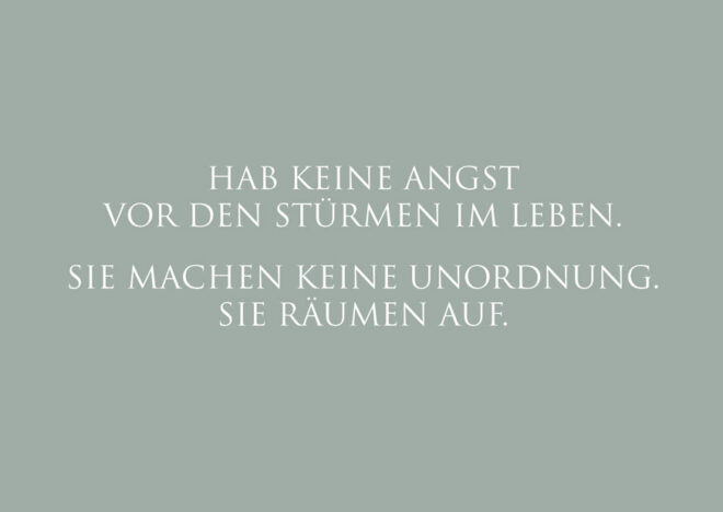 10430 Erdbeerpunkt Online Shop Schweiz