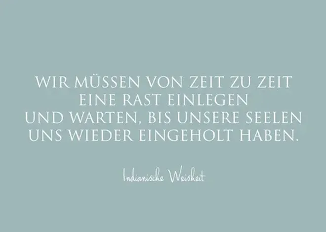 10556 large Erdbeerpunkt Online Shop Schweiz