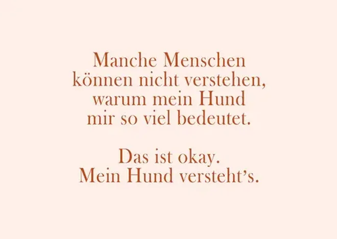 10580 large Erdbeerpunkt Online Shop Schweiz