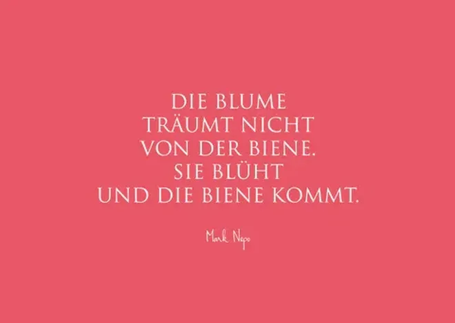 10583 large Erdbeerpunkt Online Shop Schweiz