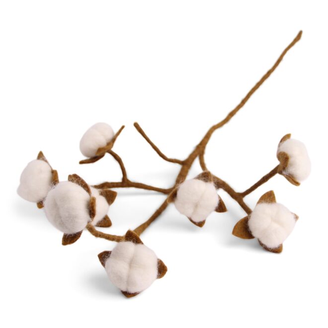 12812 Erdbeerpunkt Online Shop Schweiz
