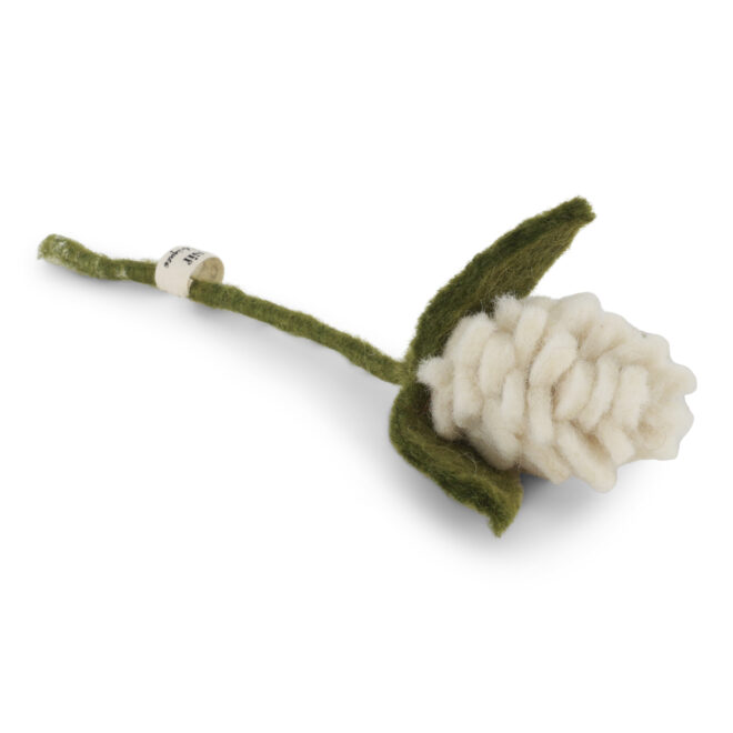 14035 1 Erdbeerpunkt Online Shop Schweiz
