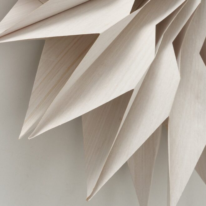 2013080 Detailbild l Djxb Yt K zoom Erdbeerpunkt Online Shop Schweiz