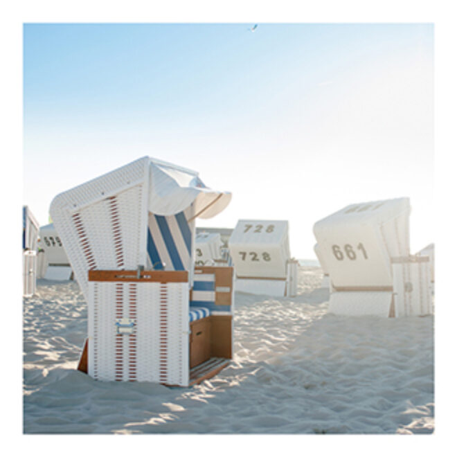 204 Strandkorb 2099901205100 Erdbeerpunkt Online Shop Schweiz