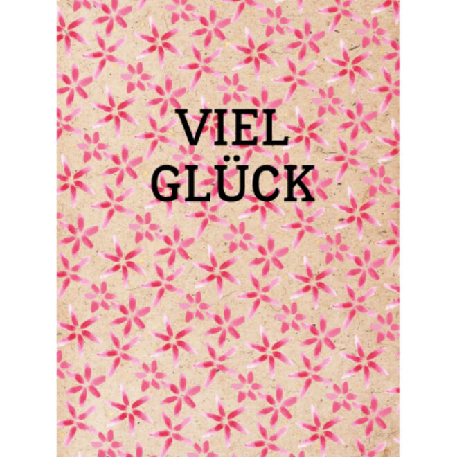 25001 Erdbeerpunkt Online Shop Schweiz