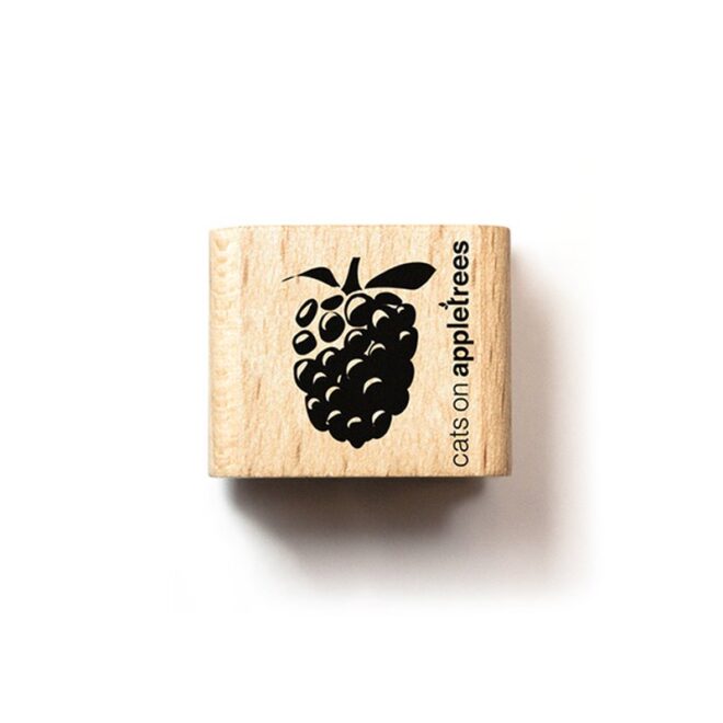 27224 ministempel brombeere 3 Erdbeerpunkt Online Shop Schweiz