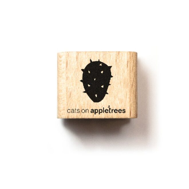 27321 ministempel kaktus 1 2 Erdbeerpunkt Online Shop Schweiz