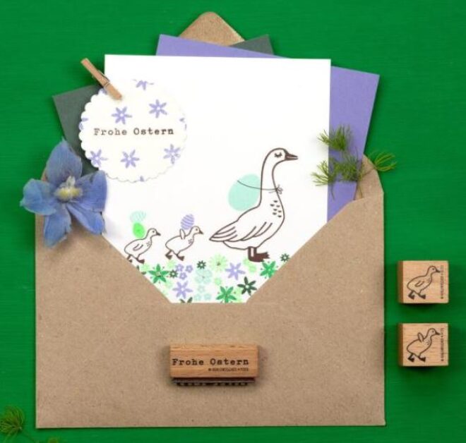 Gänseküken 12 Erdbeerpunkt Online Shop Schweiz