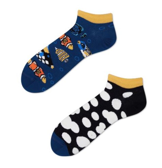 Tropical Fish Low Erdbeerpunkt Online Shop Schweiz