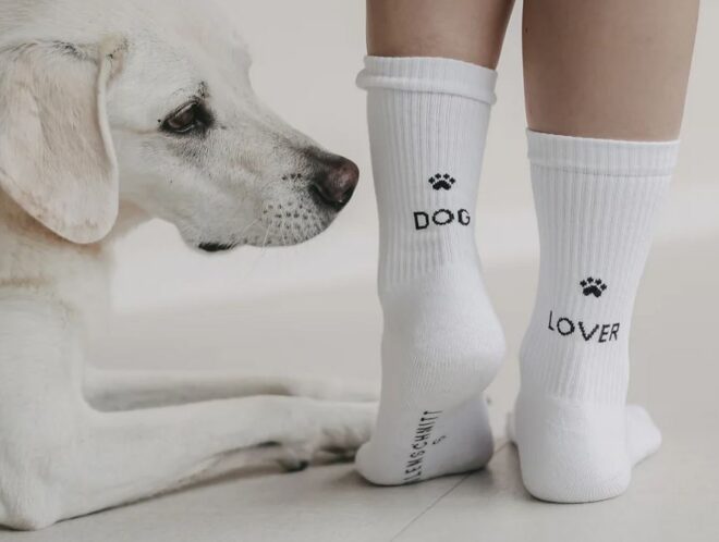 Dog Erdbeerpunkt Online Shop Schweiz