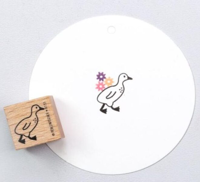 Gänseküken 1 Erdbeerpunkt Online Shop Schweiz