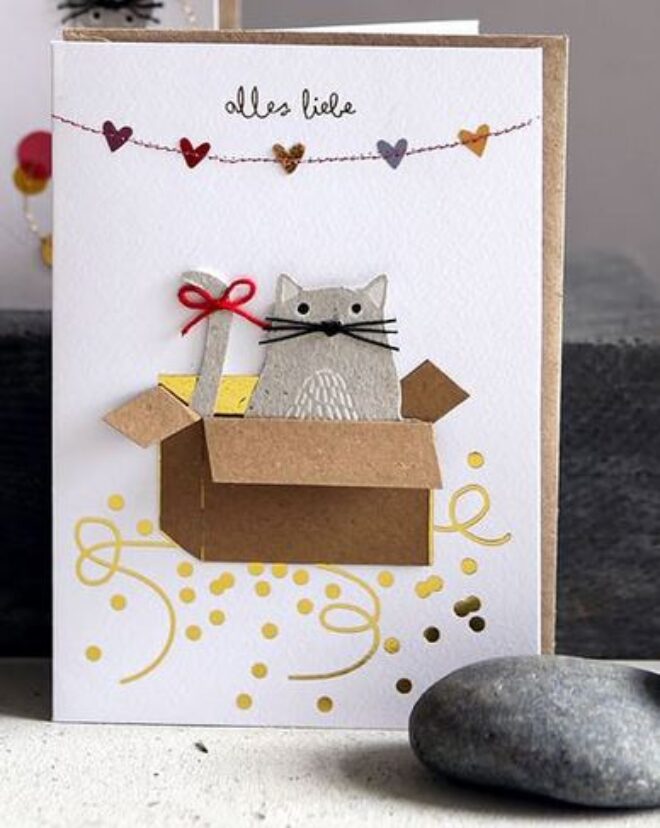 Cat2 Erdbeerpunkt Online Shop Schweiz