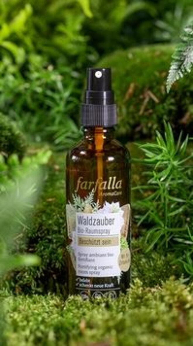 Ff00847 2 Erdbeerpunkt Online Shop Schweiz