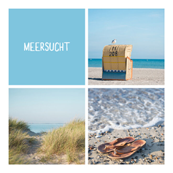 399 Meersucht Erdbeerpunkt Online Shop Schweiz