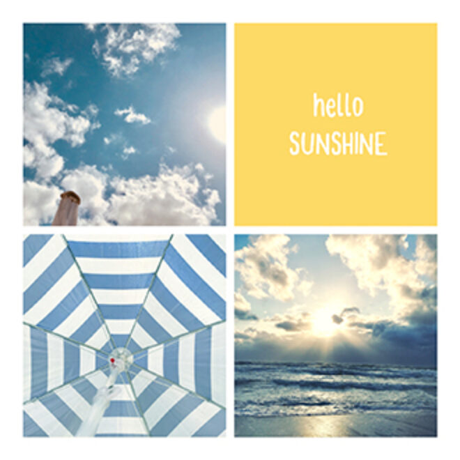 400 sunshine Erdbeerpunkt Online Shop Schweiz
