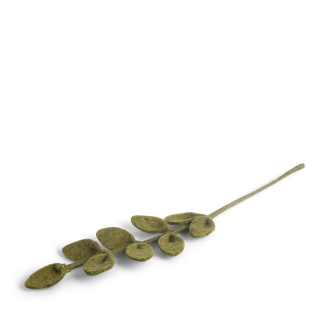 14419 Erdbeerpunkt Online Shop Schweiz