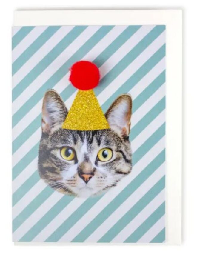 Katze Erdbeerpunkt Online Shop Schweiz