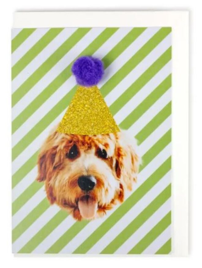 Hund Erdbeerpunkt Online Shop Schweiz