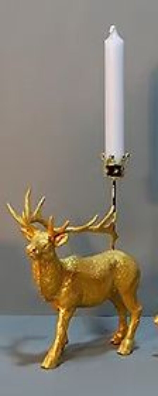 Hirsch Erdbeerpunkt Online Shop Schweiz