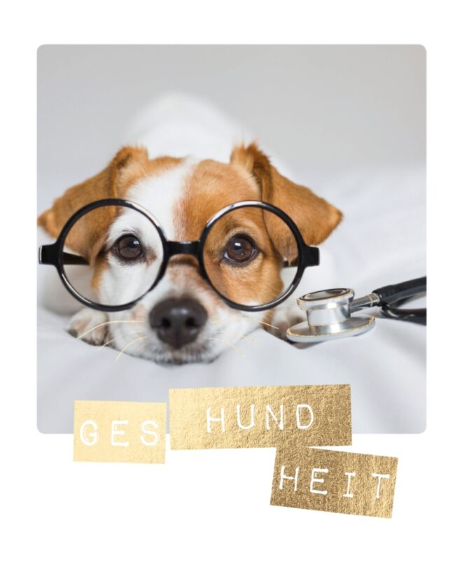 4563 Erdbeerpunkt Online Shop Schweiz