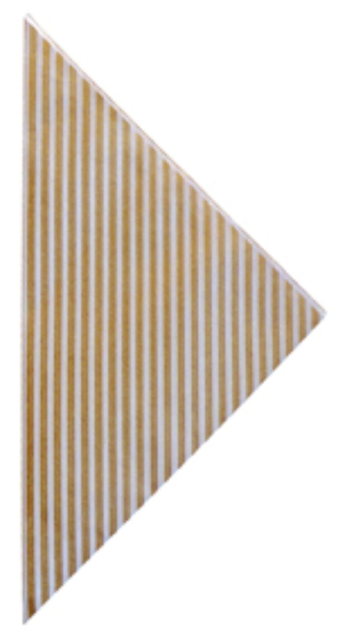 4624 0003 Papier Spitztueten Streifen Erdbeerpunkt Online Shop Schweiz