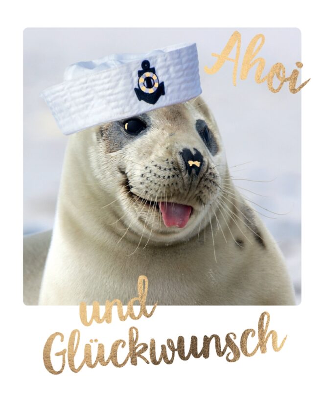 4676 Erdbeerpunkt Online Shop Schweiz