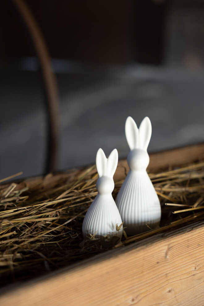 918108 918109 selma dekoration2 Erdbeerpunkt Online Shop Schweiz