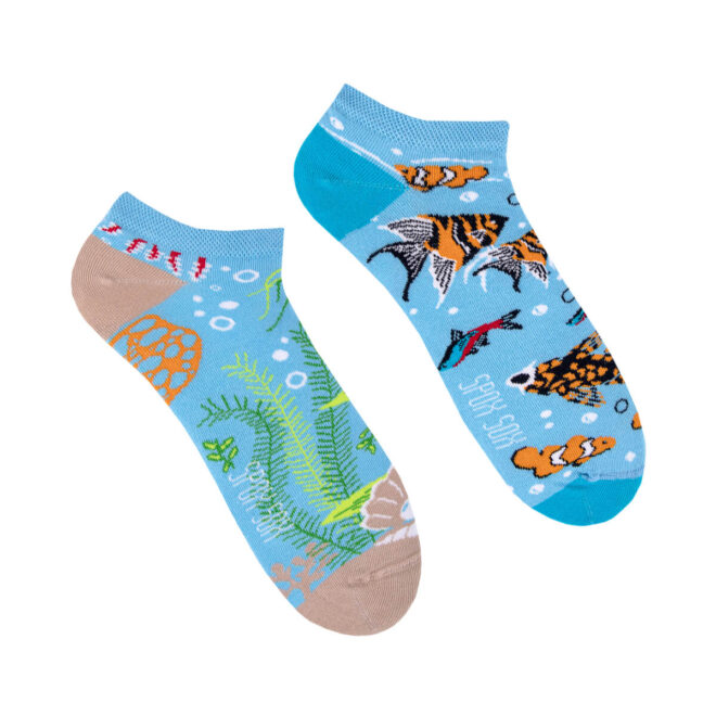 Aqua low Erdbeerpunkt Online Shop Schweiz