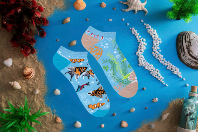 Aqua low 2 Erdbeerpunkt Online Shop Schweiz