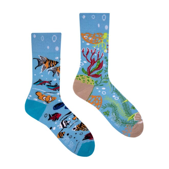 Aquarium 1 Erdbeerpunkt Online Shop Schweiz