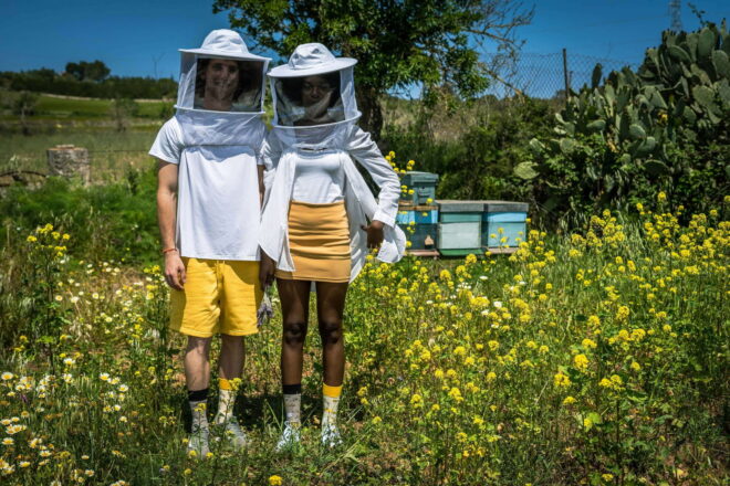 Bienen hoch 4 Erdbeerpunkt Online Shop Schweiz