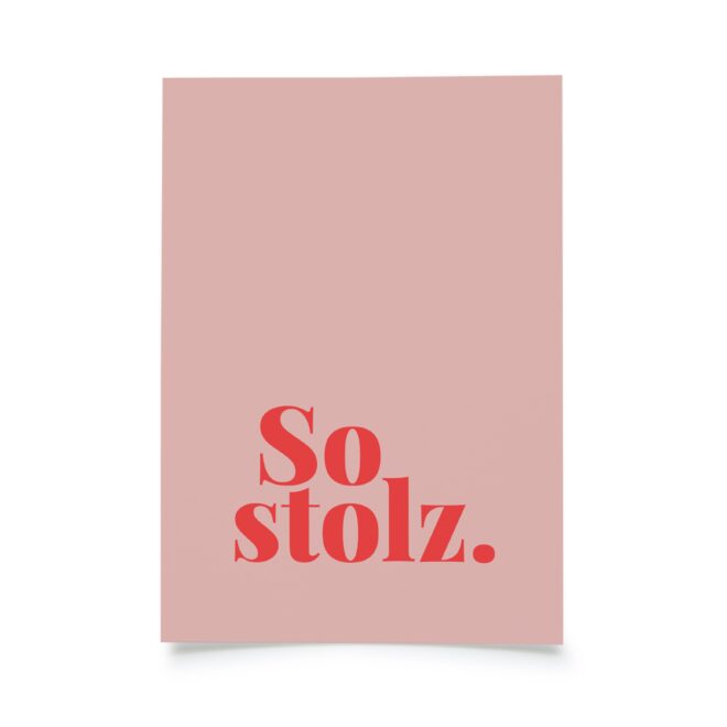 FD24 PK Tadah So stolz Erdbeerpunkt Online Shop Schweiz