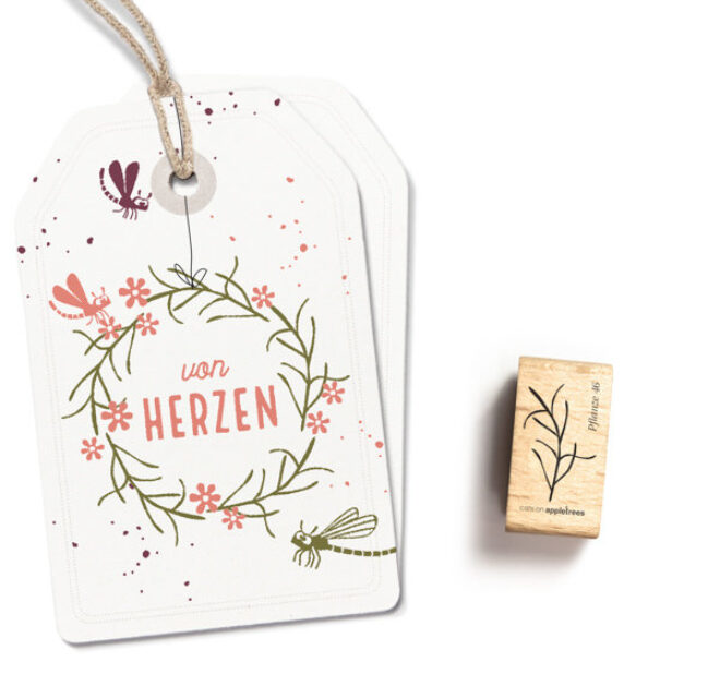 IMG 1204 Erdbeerpunkt Online Shop Schweiz