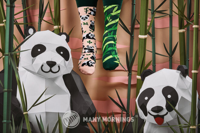 MM Sweet Panda Regular 01 Web Logo Erdbeerpunkt Online Shop Schweiz