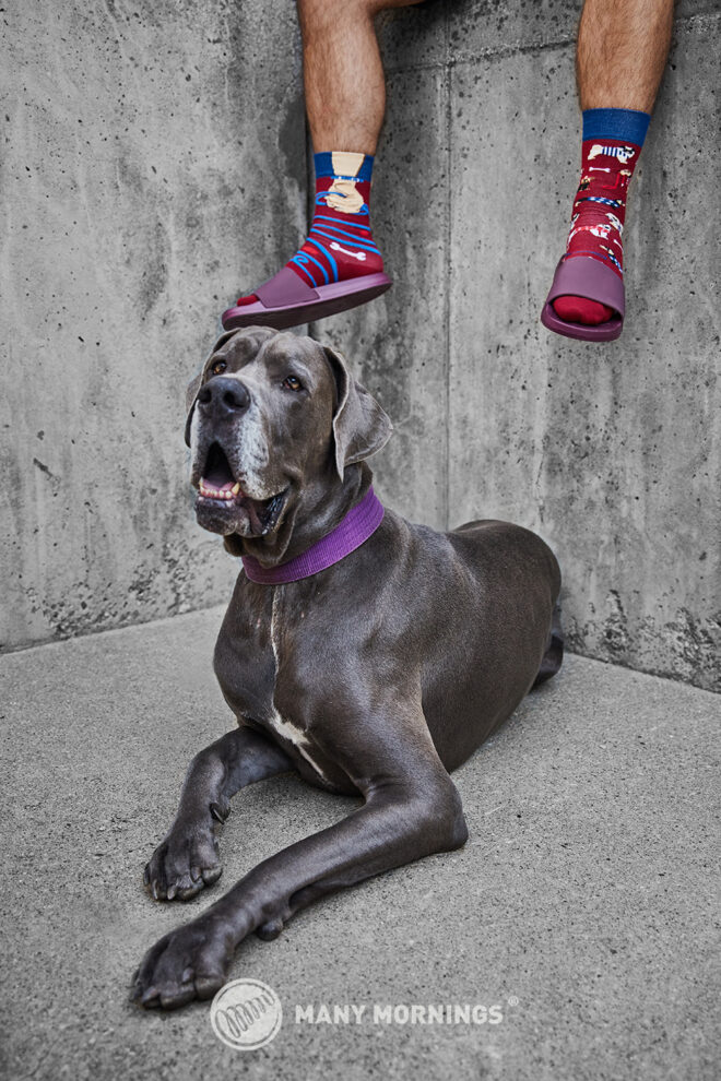 MM Walkie Doggy Regular 07 Web Erdbeerpunkt Online Shop Schweiz