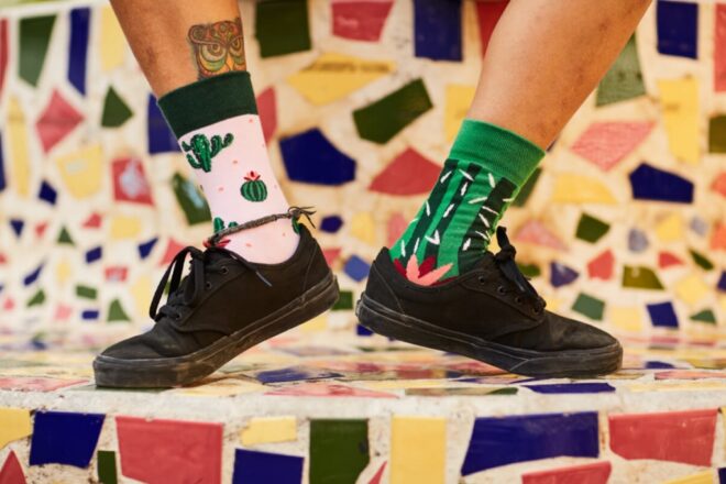 MM cactus 3 Erdbeerpunkt Online Shop Schweiz