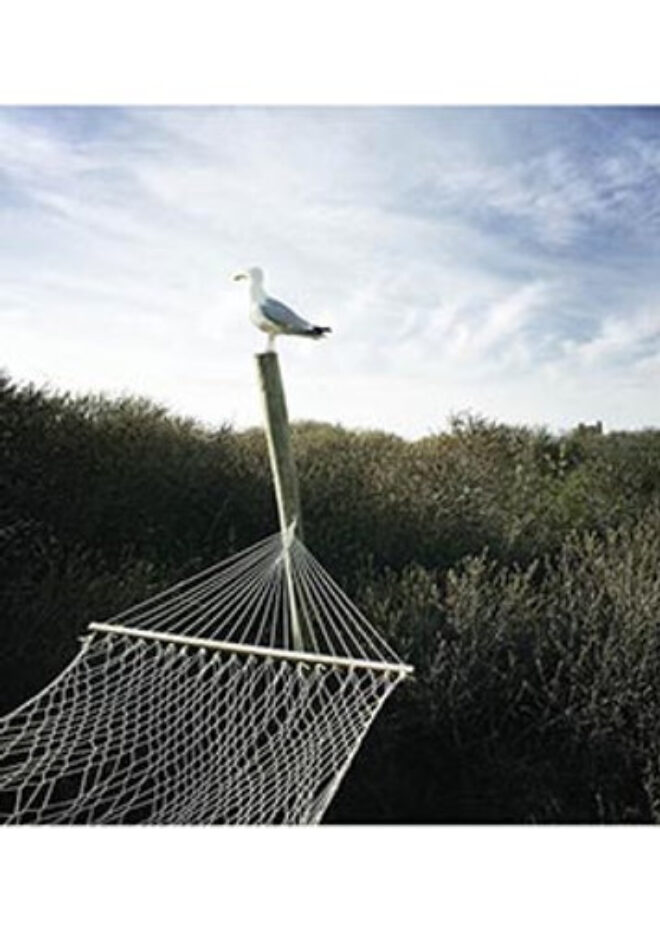 Möwe Erdbeerpunkt Online Shop Schweiz