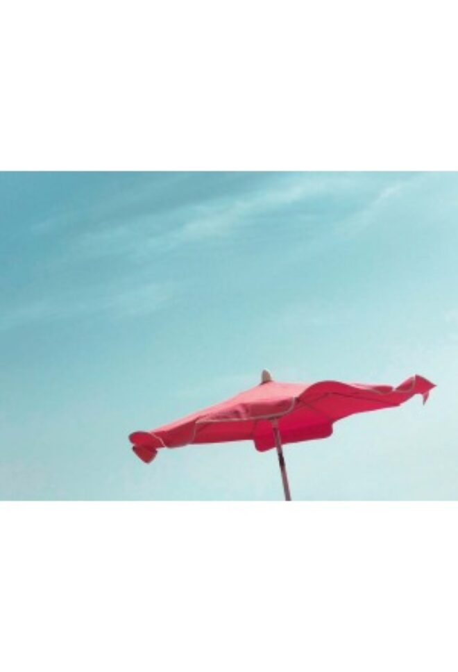 PK 1142 gr Erdbeerpunkt Online Shop Schweiz