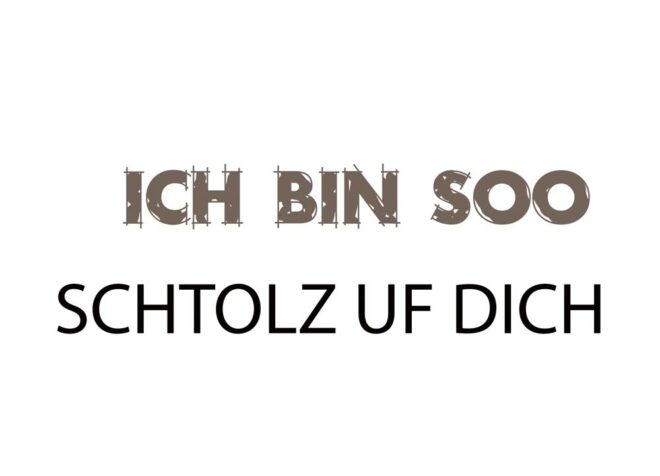 PKD 169 Erdbeerpunkt Online Shop Schweiz