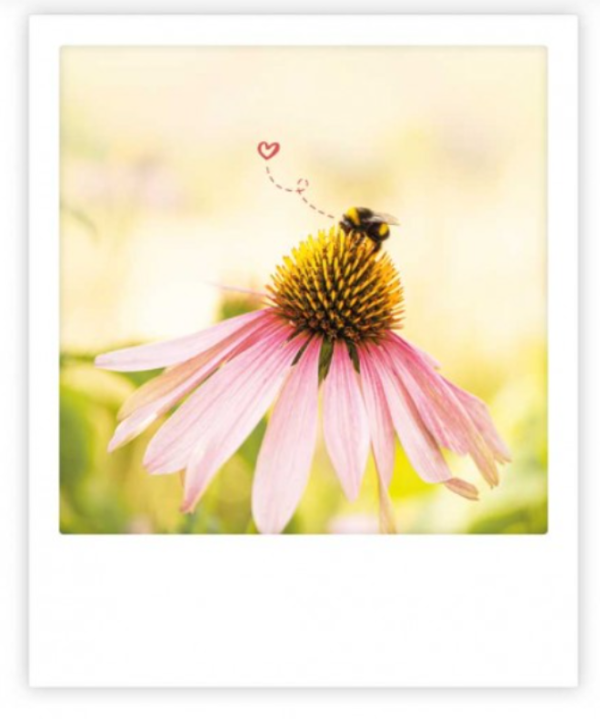 Postkarte8 Erdbeerpunkt Online Shop Schweiz