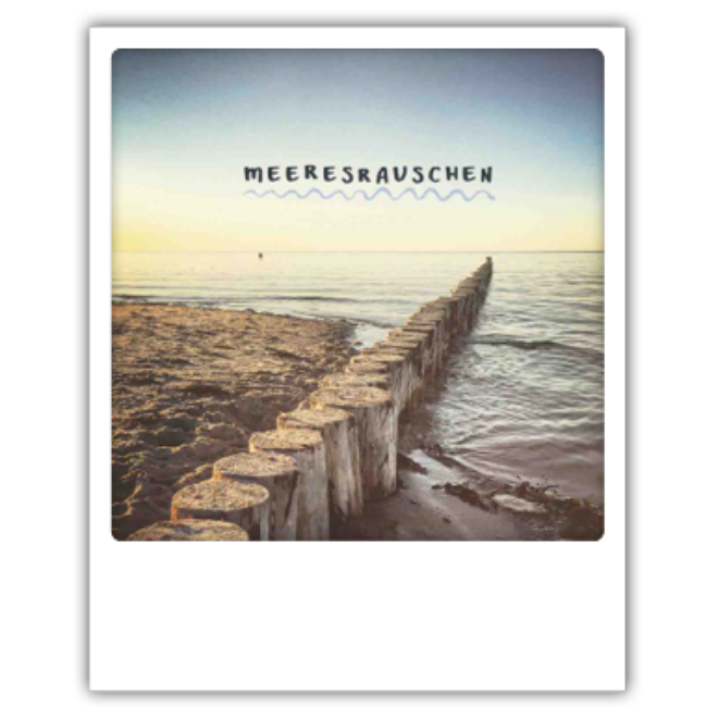 R 0114 DE Erdbeerpunkt Online Shop Schweiz