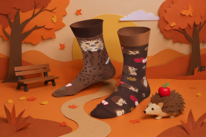 Screenshot 2025 10 13 at 21 07 01 HAPPY HEDGEHOG Socken mit einem Igel Many Mornings ch Erdbeerpunkt Online Shop Schweiz