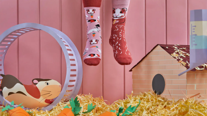 Screenshot 2022 09 16 at 08 08 47 MISS GUINEA PIG Meerschweinchen Socken Many Mornings ch Erdbeerpunkt Online Shop Schweiz