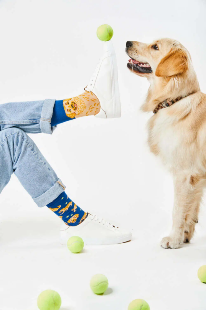 Screenshot 2023 05 16 at 22 48 58 GOLDEN BOY Labrador Socken Many Mornings ch Erdbeerpunkt Online Shop Schweiz