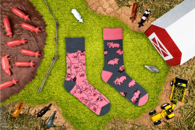 Screenshot 2023 08 10 at 12 12 40 Pigs Erdbeerpunkt Online Shop Schweiz