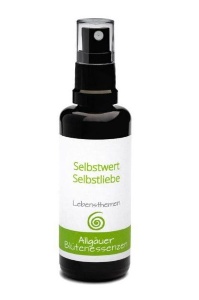 Selbstwert Selbstliebe Erdbeerpunkt Online Shop Schweiz